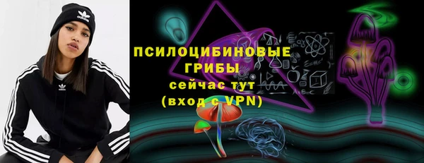 дурь Алзамай