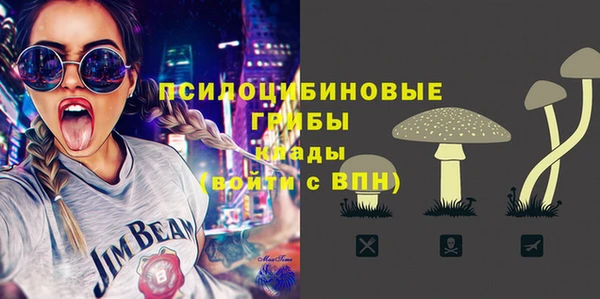 дурь Алзамай