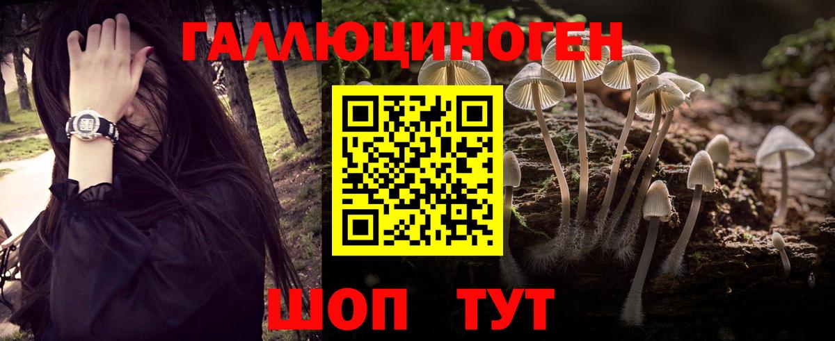 Псилоцибиновые грибы MAGIC MUSHROOMS Тулун